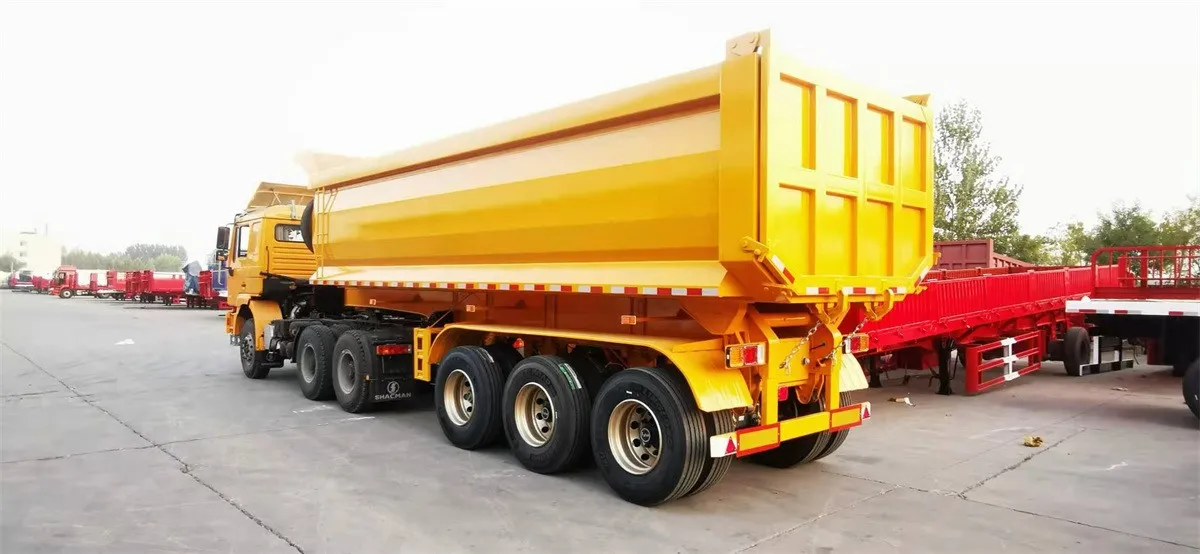 20210819113256 20210819113256